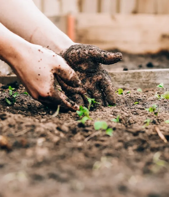 garden bed slider