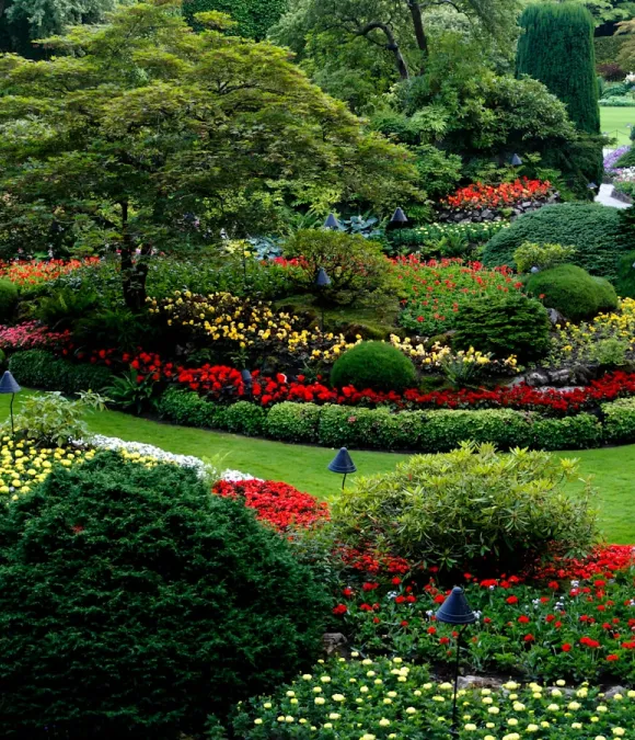 shrub slider